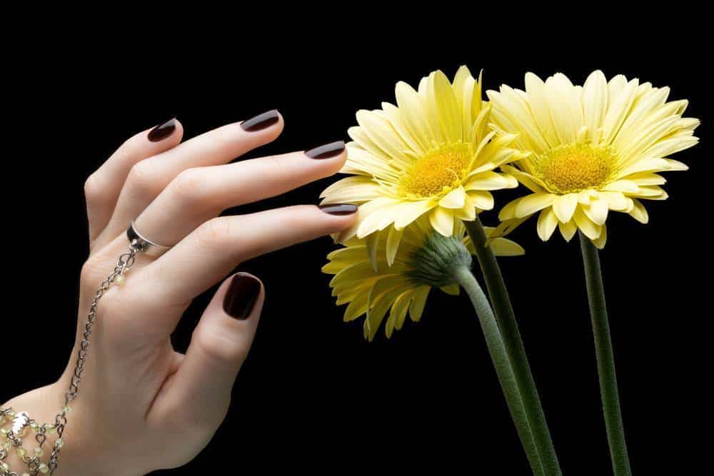 120 Dazzling Matte Nail Designs to Wear in 2024
