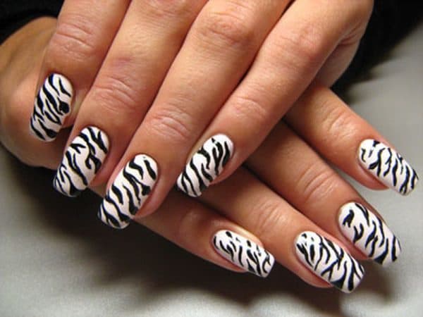 feather & zebra nail designs 1