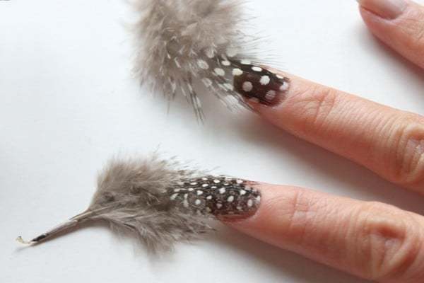 22 Prettiest Feather and Zebra Nail Design Ideas