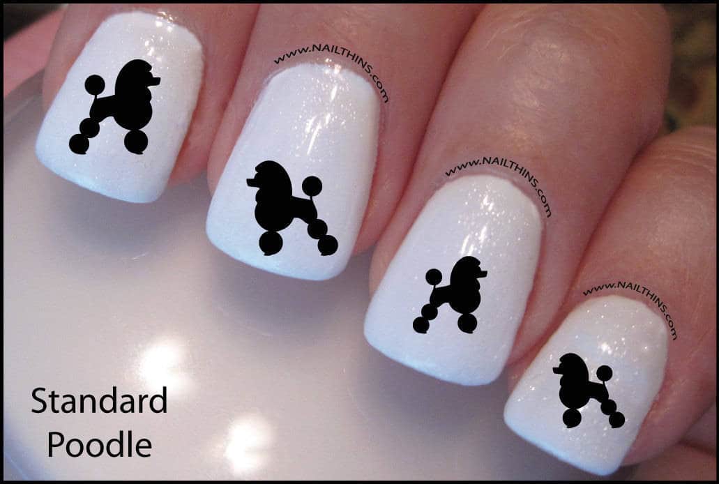 Baby Poodle dog nail idea 