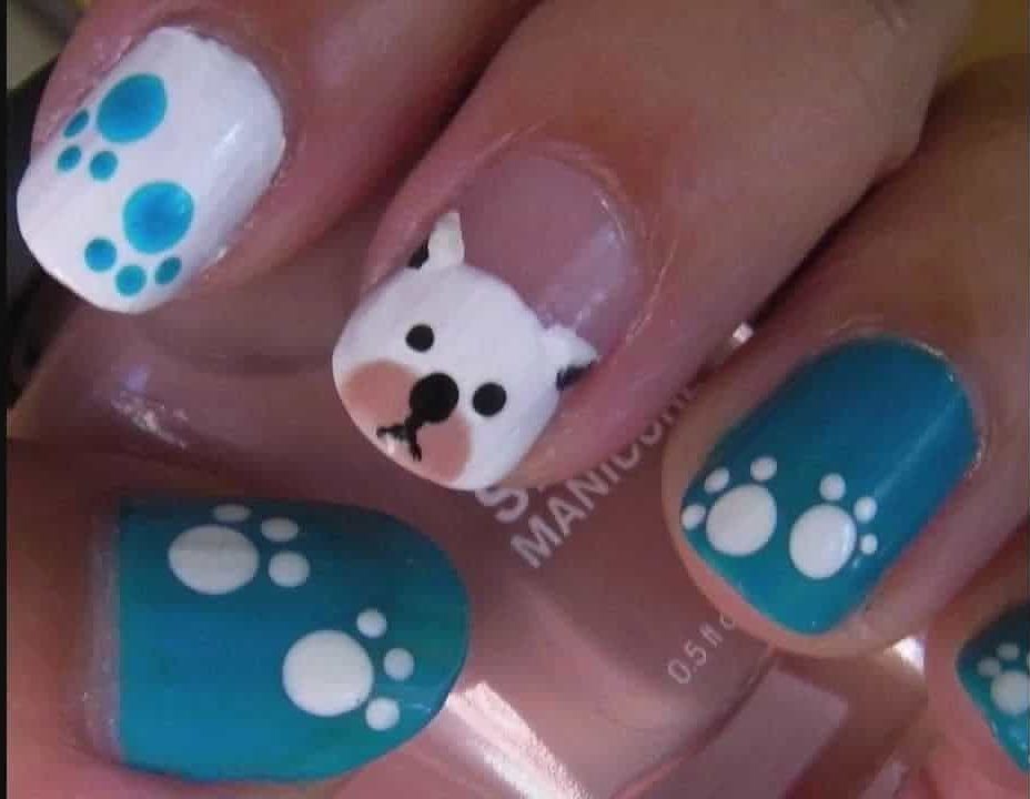 Little Pit Bull with dog nail idea 