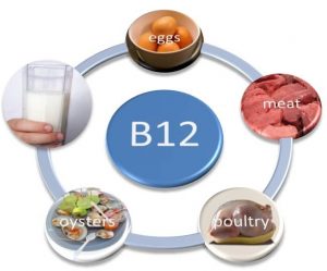 Food Rich with B 12 Vitamins