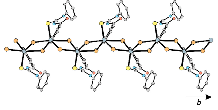 Polymer Chain