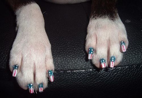 Patriotic Dog nail design