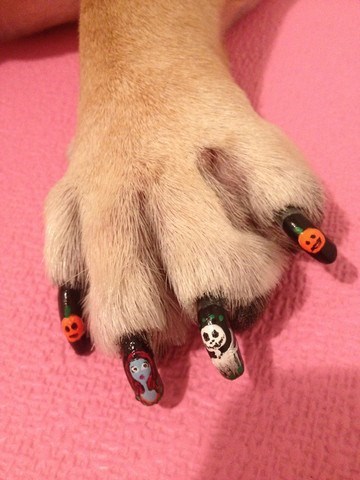 nice dog nail design