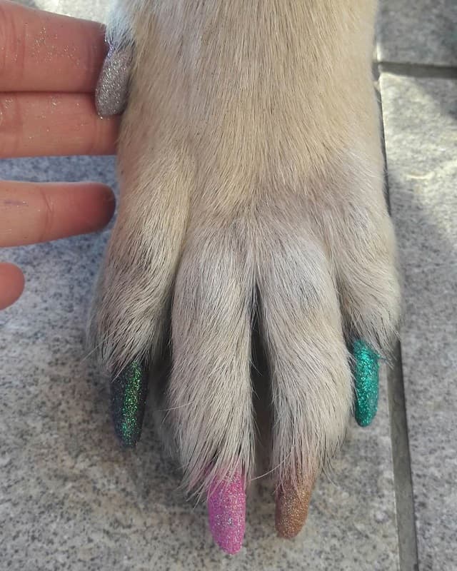 glitter dog nail polish