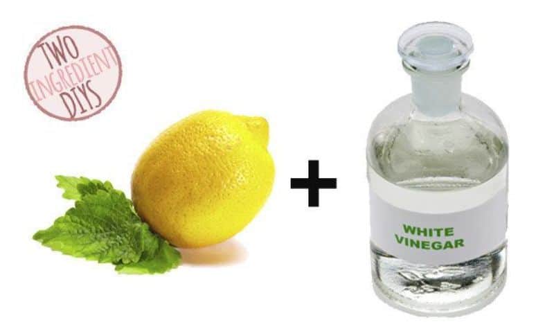 Vinegar Mixed with Lemon Juice