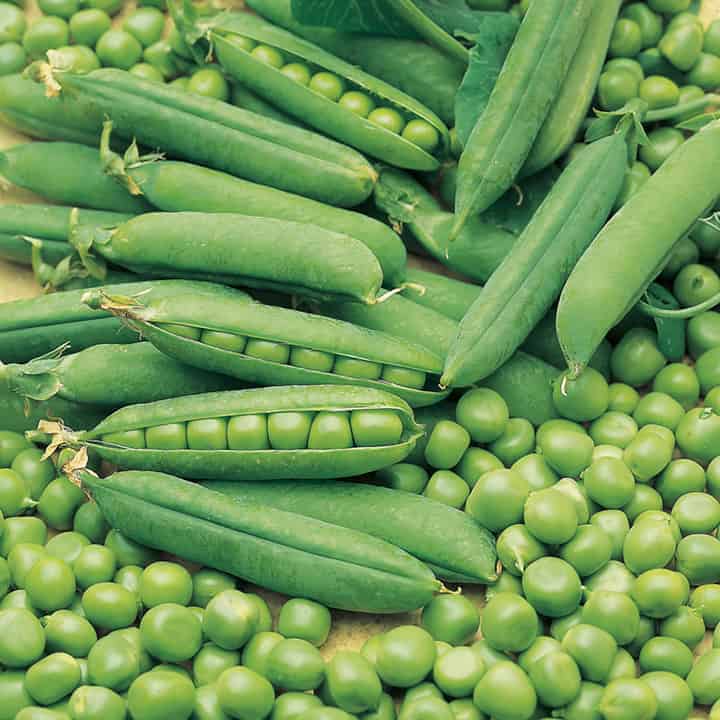 Beans & Peas for strong nail
