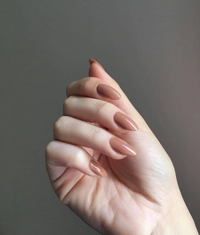 Brown Nude Nails