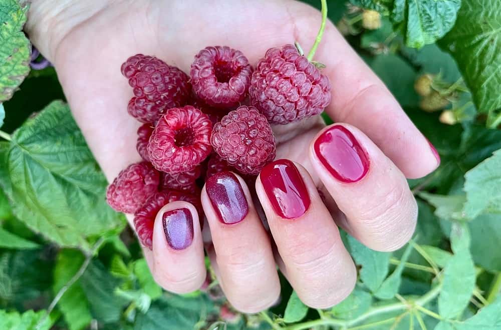 berry nails for dark skin